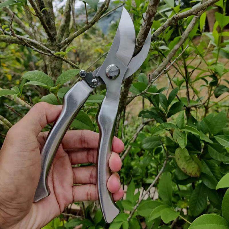 不锈钢强力树枝剪园林剪刀果树粗枝剪园艺修花盆景修枝剪花艺工具,鲜花速递/花卉仿真/绿植园艺,洒水/浇水壶,淘宝优惠券,粉丝福利购,淘宝优惠卷