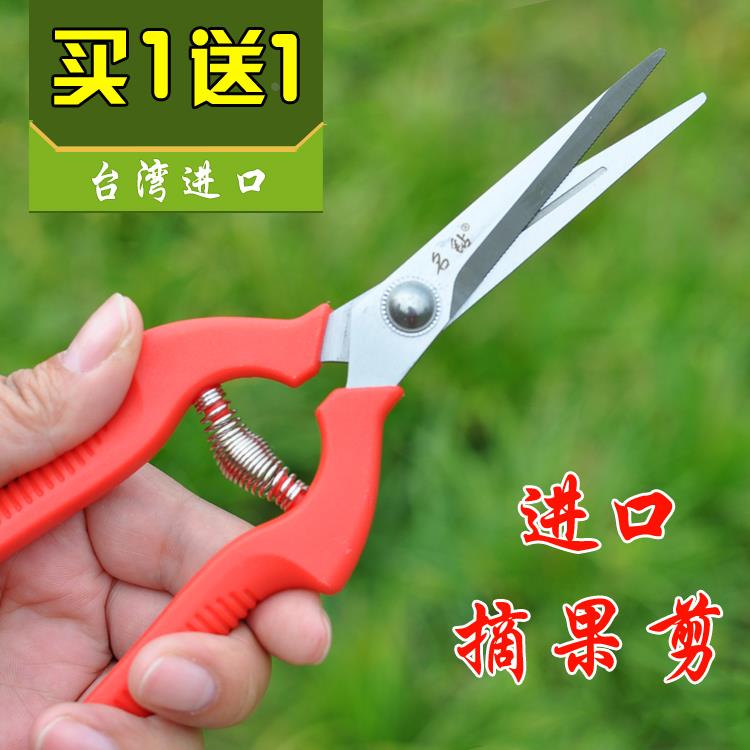 进口葡萄剪刀疏花疏果剪摘果剪修枝园艺园林花枝剪花艺修花稀果剪
