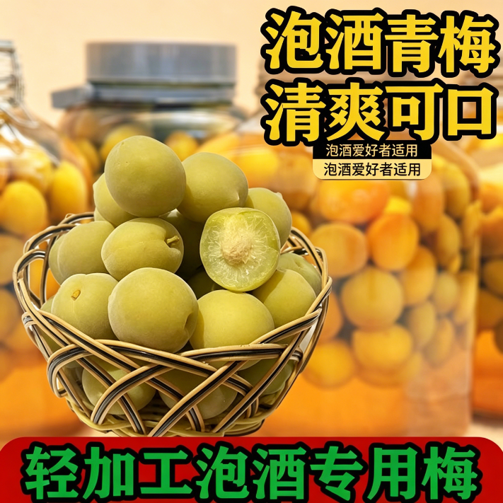 青梅泡酒专用现摘新鲜果腌制半成品爽口解腻便捷果脯无需处理开胃网红款冰糖泡制省事小零食简单梅子酒果干解馋家庭果酒轻加工休闲