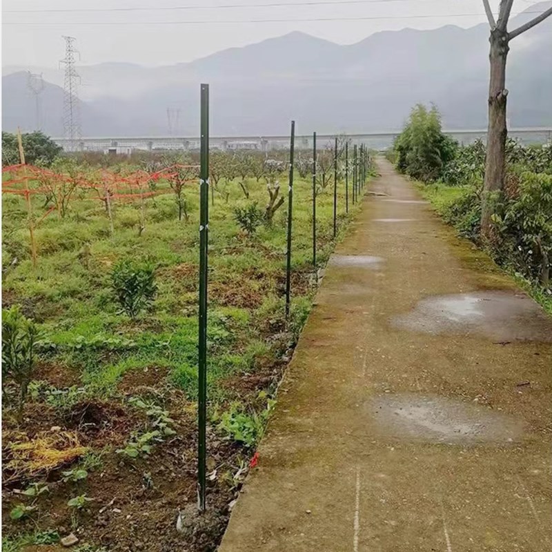 铁丝网勾花网立柱围栏杆防锈w牛栏网柱实心Y型铸铁尖头柱加厚铁柱