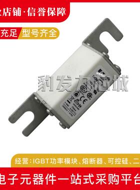 170M1308/1309/1310/1311/1312/1313/1314/1315/1316/17/18熔断器