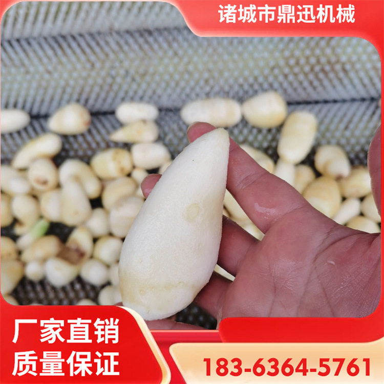 多功能洗菜机生产厂家洋葱清洗机花生清洗机毛刷清洗机