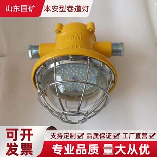 矿用隔爆型LED巷道灯DGS15/127L(A)巷道灯煤矿井下用led照明灯