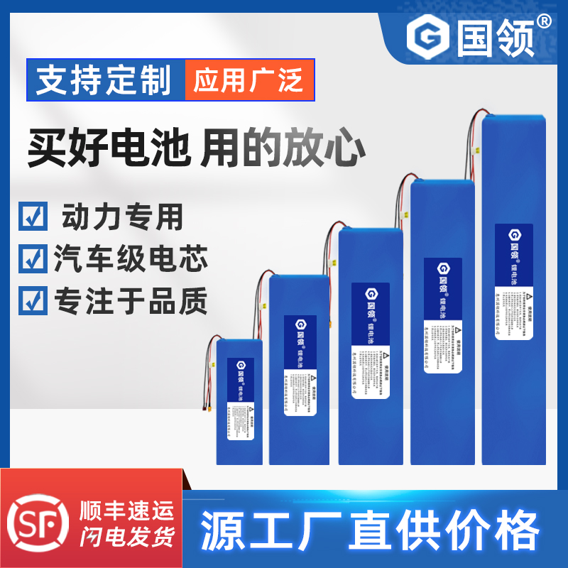 国领 电动车锂电池48V折叠车电池36V电动滑板车锂电池24V电瓶