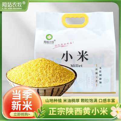 阿姑农牧陕西油小米礼包当季黄小米五谷杂粮月子米杂粮特产新米