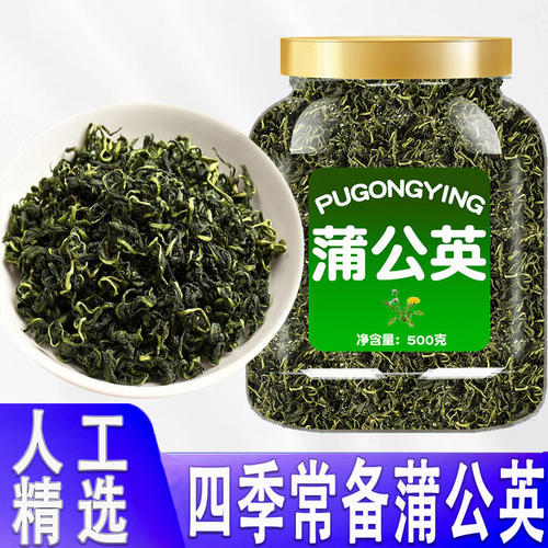 蒲公英正品特级野生中药材