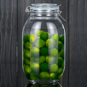 泡酒玻璃瓶专用酒瓶家用密封带盖酿酒果酒罐青梅杨梅酒空瓶发酵罐