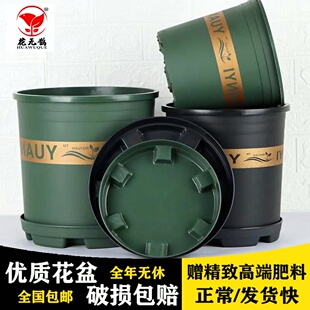 网底加仑花盆塑料大号加厚阳台带托盘多肉兰花绿萝盆栽植物花无鹊