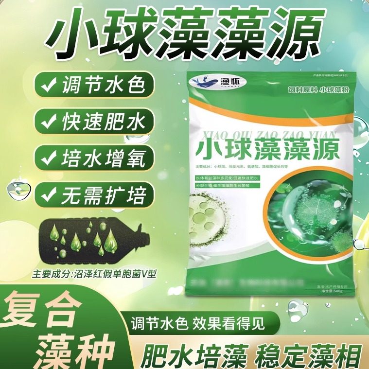 渔怀小球藻浓缩藻种复合藻种肥水培藻水产藻种养殖硅藻绿藻种增氧