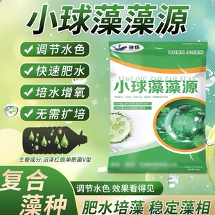 渔怀小球藻浓缩藻种复合藻种肥水培藻水产藻种养殖硅藻绿藻种增氧