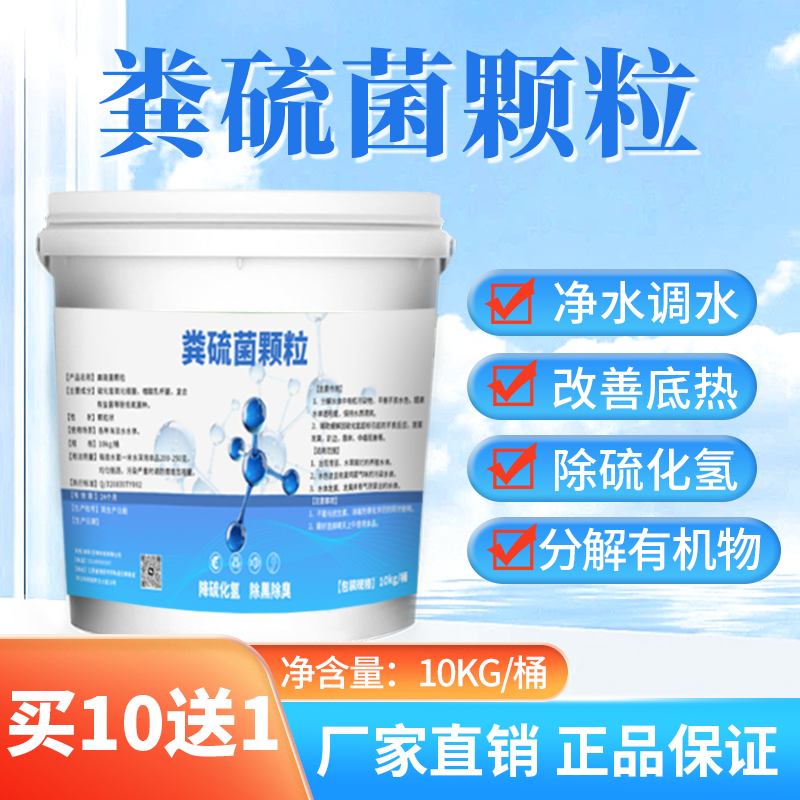 粪硫菌改底颗粒水产养殖用鱼虾蟹硫化氢氧化细菌生物底改净水底改