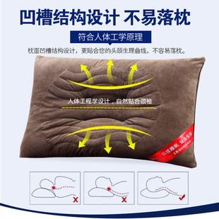 精选决明子保健枕芯浪琴枕头助睡眠立体家用男女单人护颈椎高枕厚