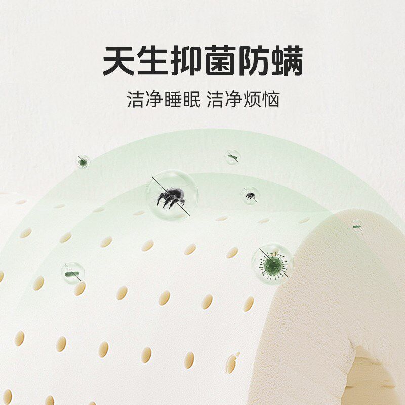 JACE泰国乳胶枕天然进口双人枕头护颈椎枕芯