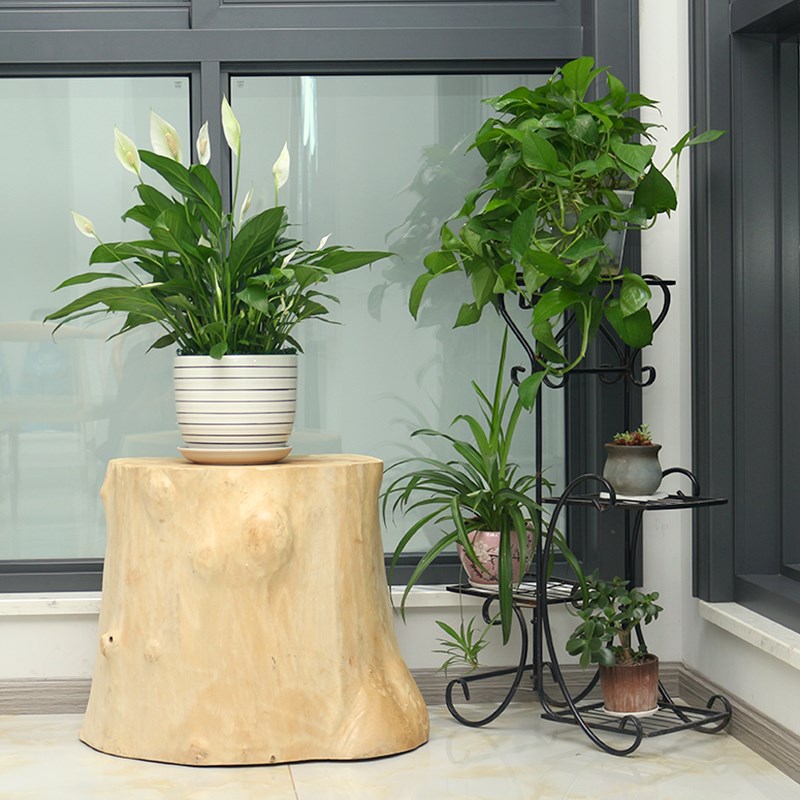 异型粗木桩树桩墩子原木茶几凳民宿坐凳摆件卧室柜花架摄影棚树墩