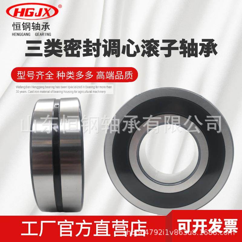 恒钢HGJX加厚密封BS2-2212-2CS-2RS 60*110*34 双列调心滚子轴承