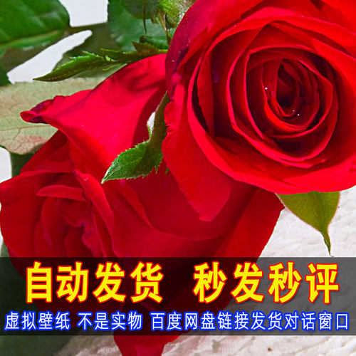 这是一家感情店素材1