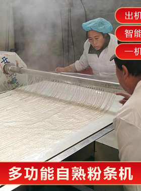 现场教学全自动红薯粉条机 蒸汽式自熟广西螺蛳粉机