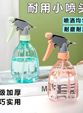 家用浇花喷雾壶小喷壶