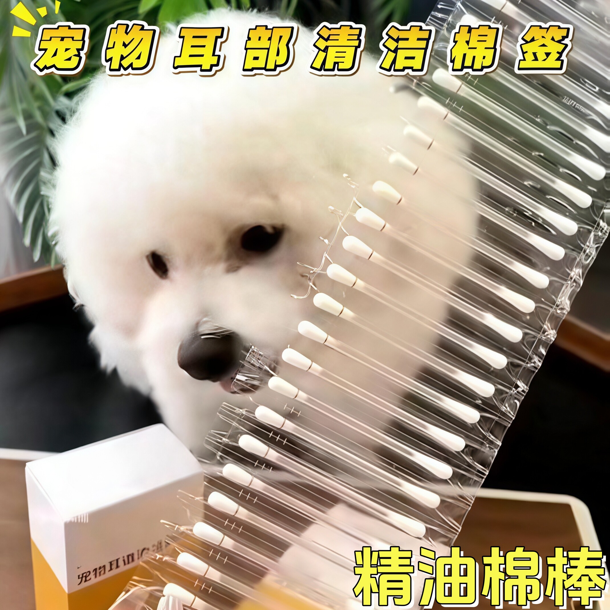 宠物耳部棉签棉棒清理耳螨洗耳液