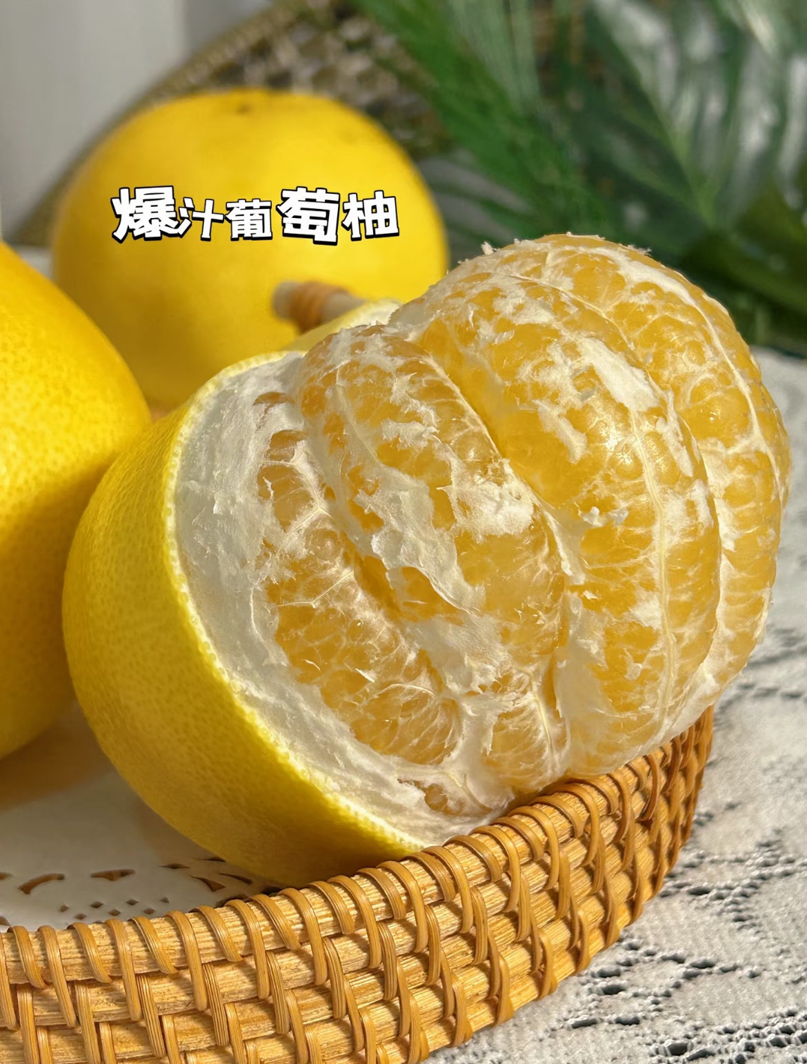 新品种嫁接爆汁葡萄柚子苗正品柚子树苗南北方种植当年结果包成活