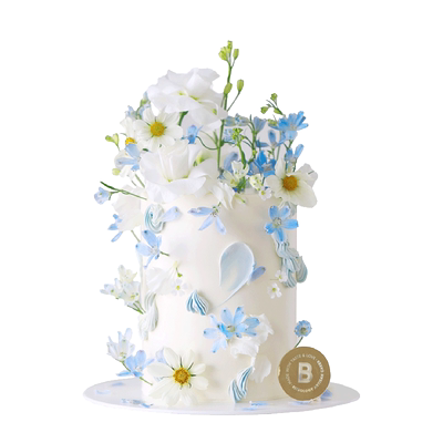拾光里同城生日蛋糕BITEOLOGY