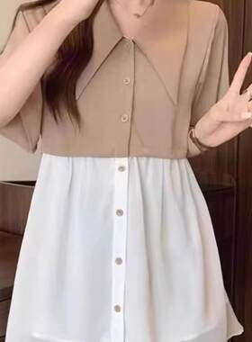 女士短袖衬衫高级感夏装新款减龄洋气显瘦胖mm藏肉宽松雪纺上衣潮