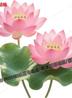 新款粉色荷花好运连连贴纸客厅玄关装饰贴纸背景墙冰箱门窗防水