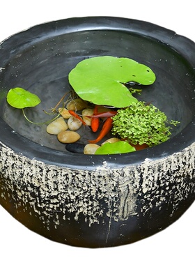 庭院水井装饰摆件花园小鱼池水培盆景水景中式天台仿古造景鱼缸