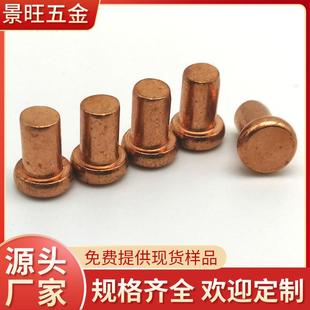 东莞厂家平头T2紫铜铆钉实心红铜铆钉平头半空心触点铆钉