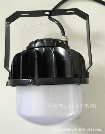 LED防爆行灯手提式大功率低压