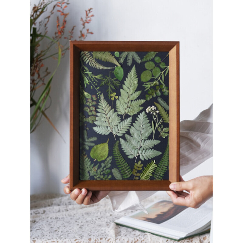植物花卉蕨类植物标本画装饰画手工田园押花黑底挂画照片墙干花