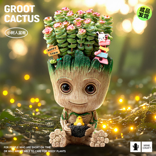 多肉植物仙人掌花卉盆栽格鲁特办公室桌面创意摆件室内绿植送礼物