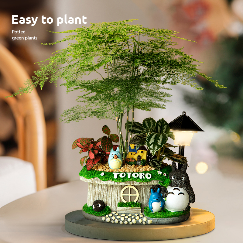 发财树盆栽室内客厅创意盆景送礼