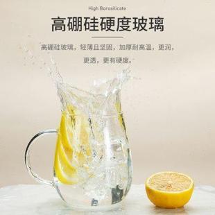 玻璃杯茶杯带盖家用茶水分离过滤泡茶杯子个人专用办公室喝茶水杯