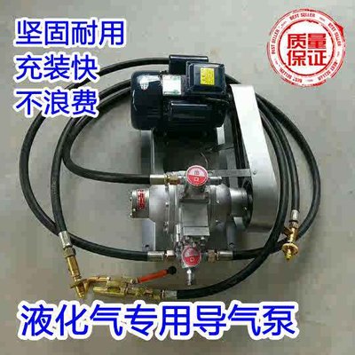 液化气泵液化气导气泵充气过气泵倒气充装泵220v48v12v车载导气泵