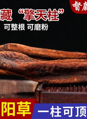 正品续阳草500g新货中药材回春草顶天柱锁阳男士泡酒料胜鹿茸