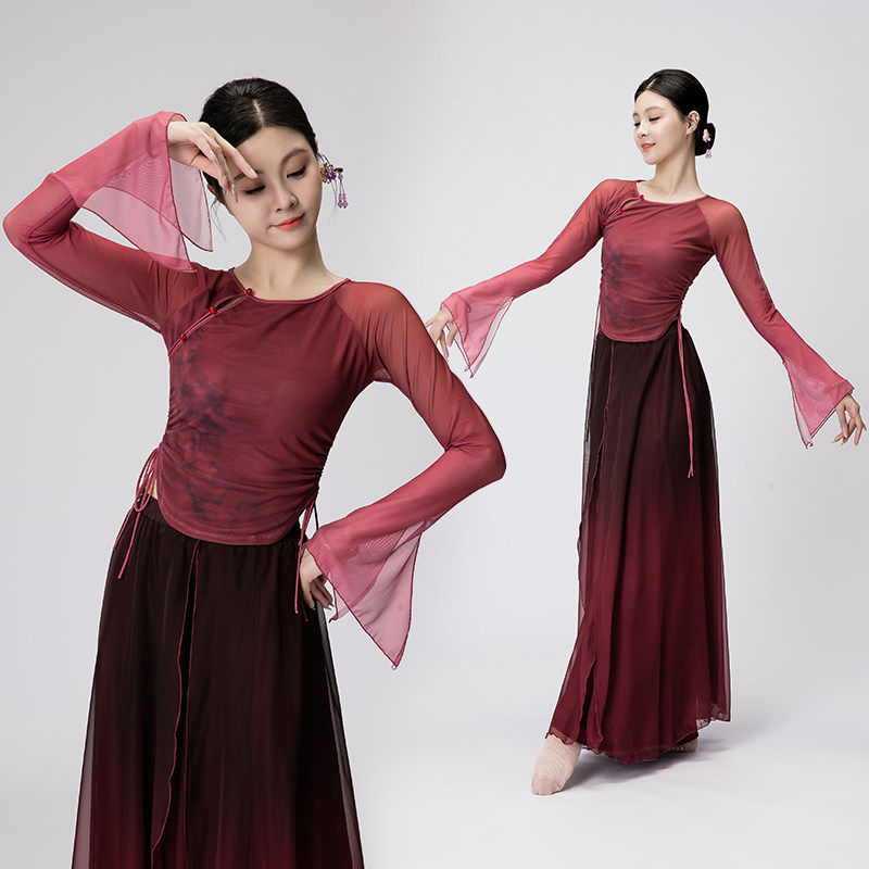 古典舞服装身韵练功服女飘逸网纱上衣中国风形体艺考现代舞演出服