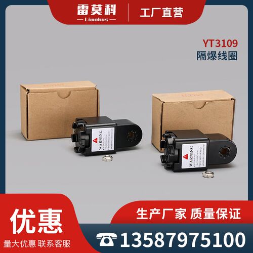 隔爆电磁阀线圈 YT310 CT4 防爆电磁阀DC24V 36W AC220V 5W