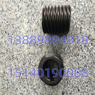 蜗杆 天水安阳沈阳机床配件 溜板箱 CW61100B 车床配件 CW61125B