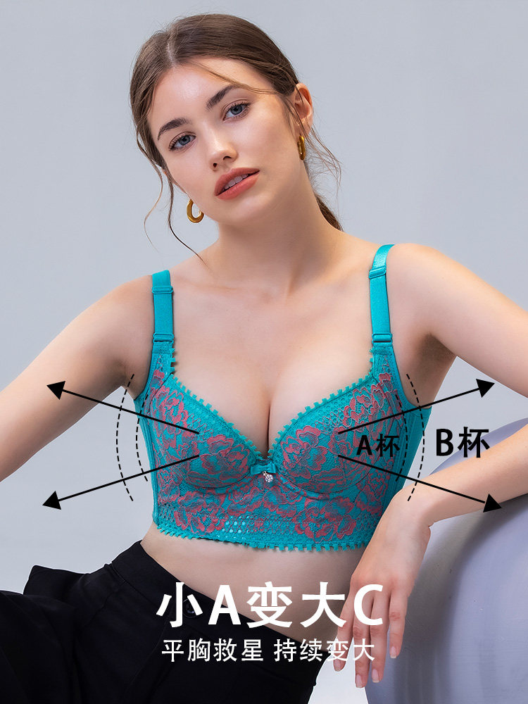 瑞来希记忆软钢圈聚拢文胸