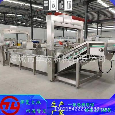 西红柿清洗机 水果蔬菜翻转冲浪清洗设备 全自动果蔬气泡清洗机