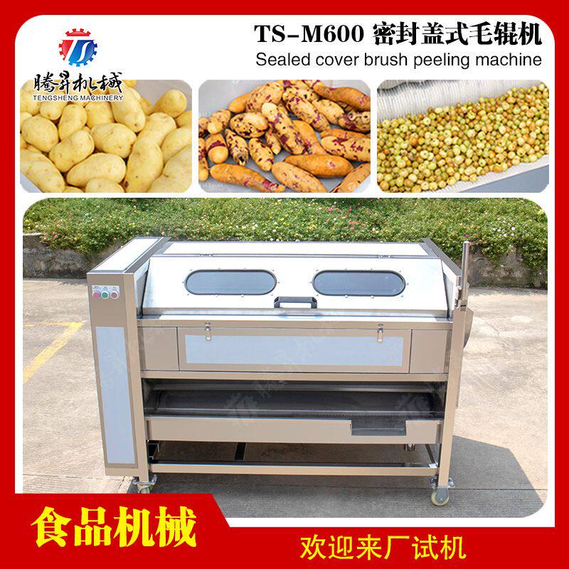 土豆清洗脱皮机 芋头去皮机 多功能马蹄毛辊清洗机