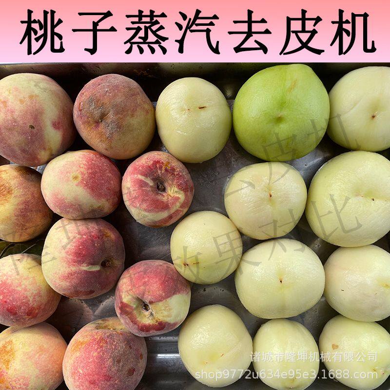 桃子黄桃全自动去皮机 陕西富平县柿饼削皮机 多功能果蔬去皮设备