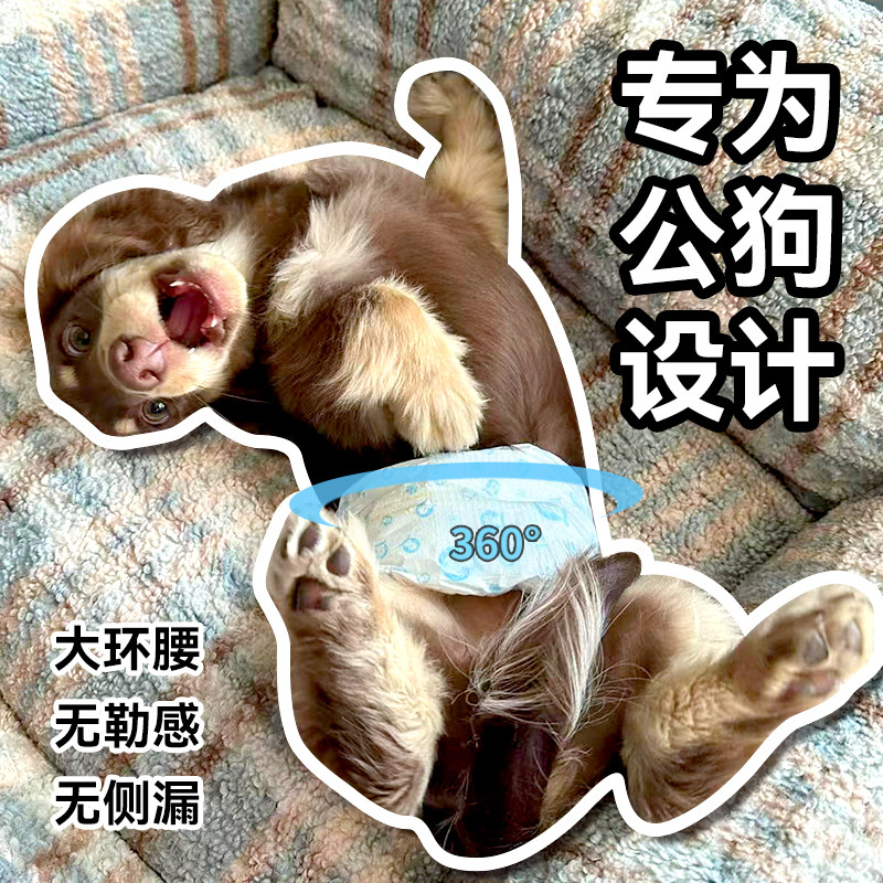 小公狗专用纸尿裤防乱尿跑跳不掉