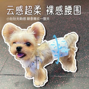 公狗尿不湿狗狗纸尿裤宠物专用小狗尿布尿片泰迪母狗防乱尿礼貌带
