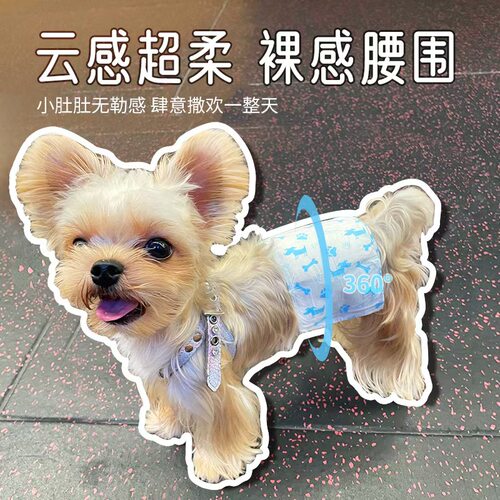 公狗尿不湿狗狗纸尿裤宠物专用