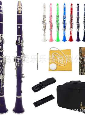 SLADE单簧管儿童成人初学演奏入门专业降b调单簧管胶木紫色黑管