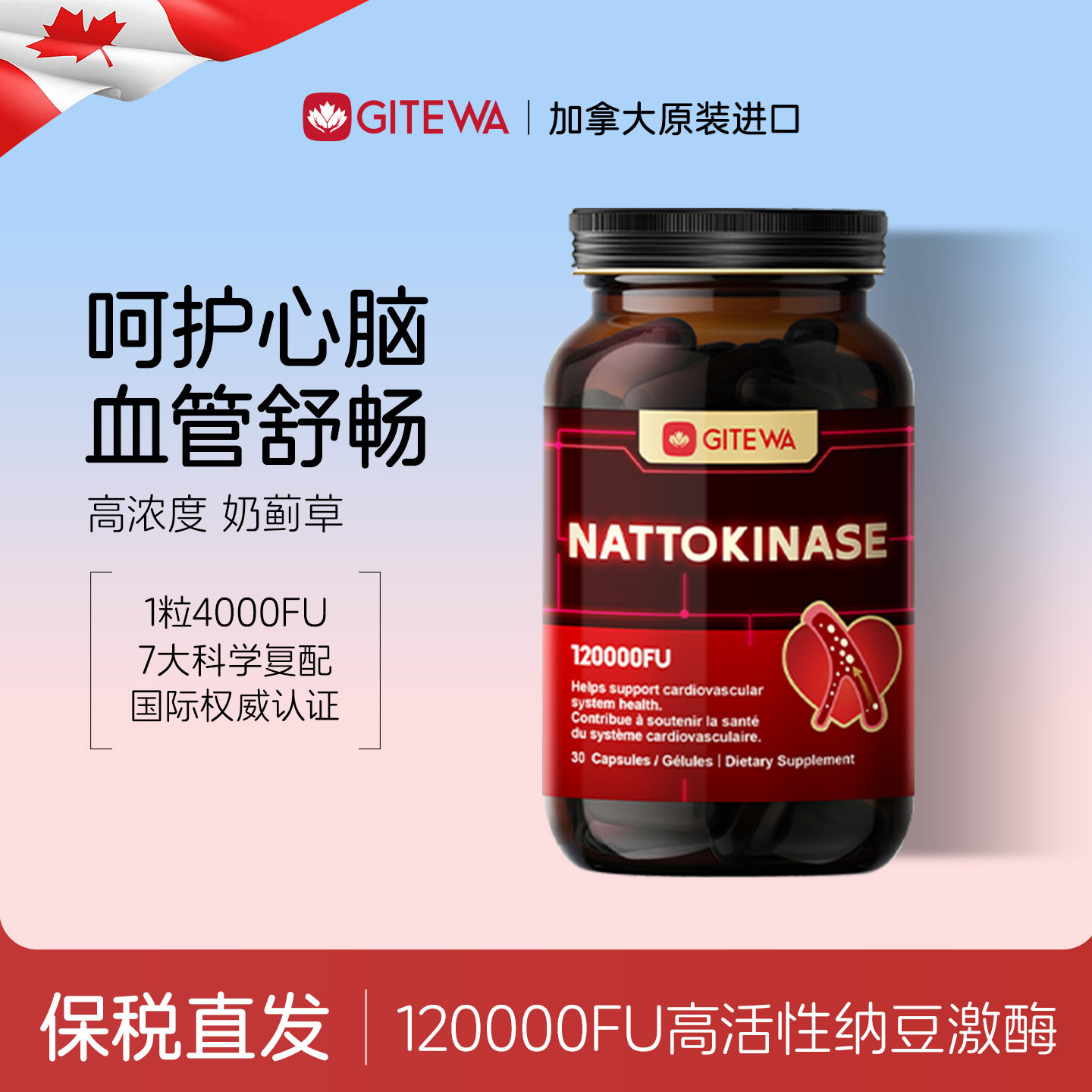GITEWA纳豆提取物胶囊原装进口