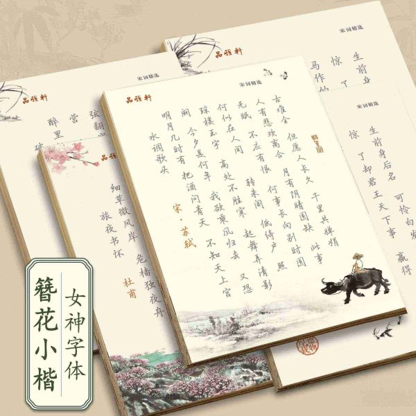 唐诗宋词诗歌散文楷书行楷字帖簪花小楷大学硬笔书法纸钢笔练字帖