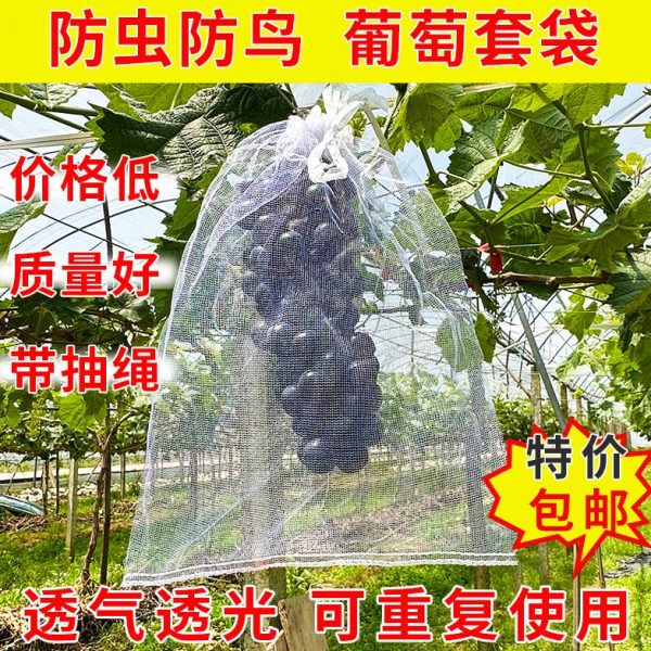 果瓜袋番石榴草莓套网袋葡萄无花果专用水果防护保护袋杨桃透气子